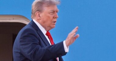 Trump's meeting with Putin could determine the trajectory of the Russia-Ukraine war