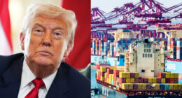 Trump's tariff push overstepped presidential powers, appeals court says