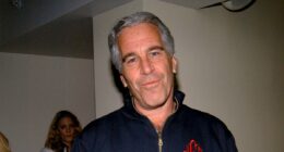 Trump's bid to release Epstein grand jury doc rebuffed as 'diversion'