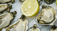 Two dead after getting flesh-eating bacteria from eating raw oysters