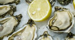 Two dead after getting flesh-eating bacteria from eating raw oysters