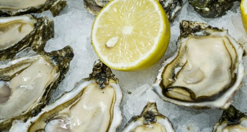 Two dead after getting flesh-eating bacteria from eating raw oysters