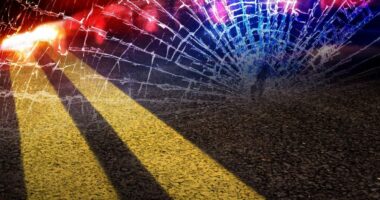 Two people hurt in head-on collision near Champaign