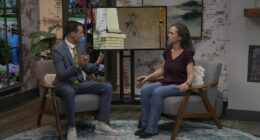 U of I professor studies disasters, shares Hurricane Katrina findings