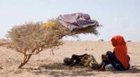 GODORYA, DJIBOUTI - JANUARY 19: Migrants rest under a shrub on January 19, 2024 in Godorya, Djibouti. The recent attacks on commercial ships by Yemen's Houthi rebel group, which have prompted a series of air strikes by the United States and its allies in response, have not just imperilled a vital shipping route, but also the popular "Eastern Route" for migrants heading from Ethiopia to Saudi Arabia, via Djibouti and the Bab al-Mandab Strait that connects the Gulf of Aden and Red Sea. The strait