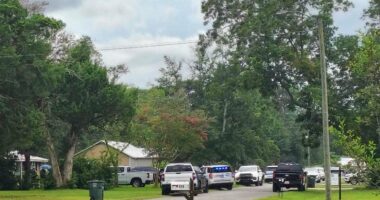 UPDATE: Ex-Foley magistrate accused of trading THC-laced vapes for photos of underage girls released on $100K bond
