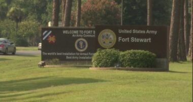 U.S. Army captain pleads guilty for theft at Fort Stewart