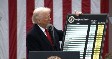 U.S. appeals court rules Trump's global tariffs are illegal
