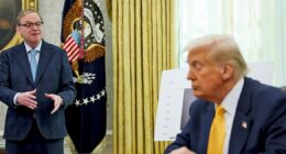 U.S. could take stakes in more companies, Trump adviser says