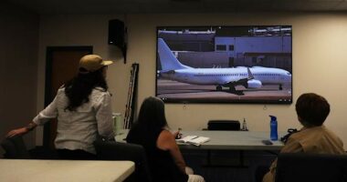 US deportation flights hit record highs as carriers try to hide the planes, advocates say