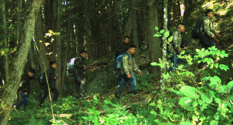 US northern border smuggling creates 'shopping grounds' for migrants to sanctuary communities: attorney