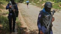 US seeks UN authorization for new 'Gang Suppression Force' to tackle escalating violence in Haiti