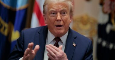 President Donald Trump speaking at a cabinet meeting.