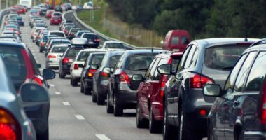 USCB students to move in, expect traffic delays