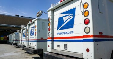 Row of USPS delivery trucks.