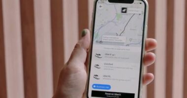 Parents will be able to track their children on their journey.