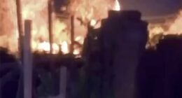Ukraine's military intelligence 'kills three Putin soldiers'