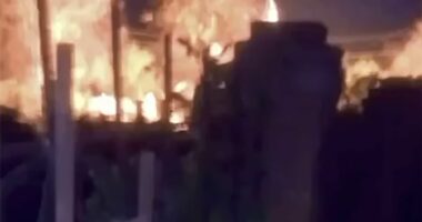 Ukraine's military intelligence 'kills three Putin soldiers'