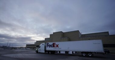 Update: Illegal Alien Truck Driver Who Allegedly Killed 3 Ordered Held Without Bail