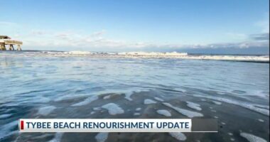 Update on beach erosion, renourishment on Tybee Island
