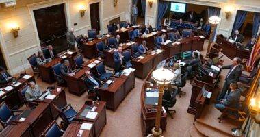 Utah enters the redistricting battle for 2026, but not by choice. Here's what to know