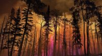 Utah governor declares state of emergency as wildfires rapidly spread