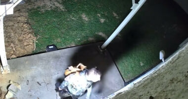 VIDEO: Tennessee Quadruple Murder Suspect Seen in Surveillance Footage Carrying Rifle, Trying Locked Doors