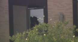 Shattered glass in a door.