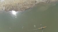 Wave goodbye to 'Wet Wipe Island': Thames' first mass removal begins