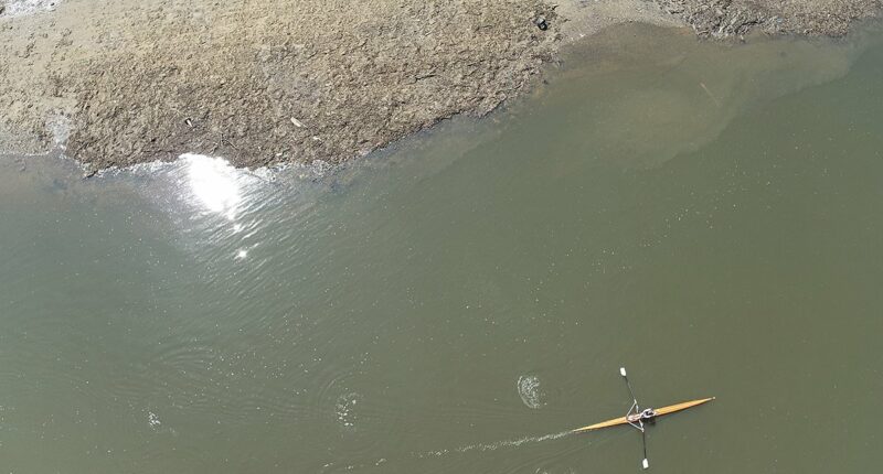 Wave goodbye to 'Wet Wipe Island': Thames' first mass removal begins