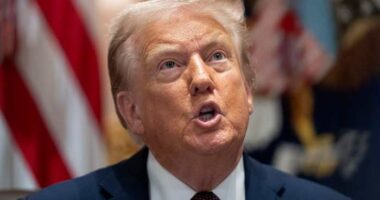 What happens to Trump’s tariffs now that a federal appeals court has knocked them down?