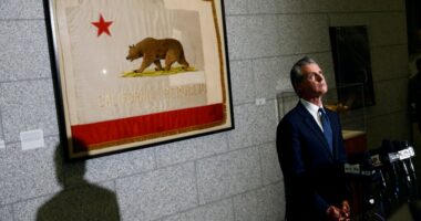 What is Gavin Newsom's net worth?