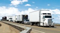 What the Heck: There's a Petition on Behalf of Illegal Alien Trucker Accused of Vehicular Homicides