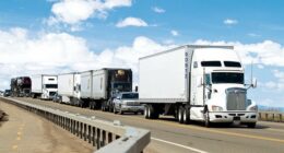 What the Heck: There's a Petition on Behalf of Illegal Alien Trucker Accused of Vehicular Homicides