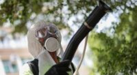 What to know about chikungunya virus... as China sees record cases
