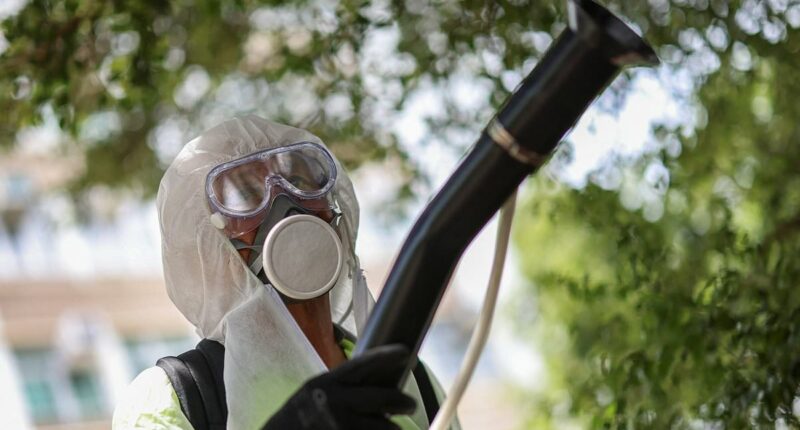 What to know about chikungunya virus... as China sees record cases