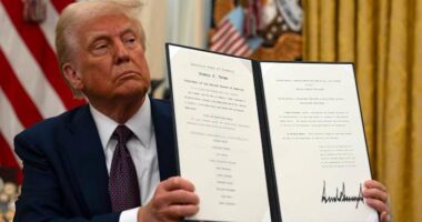 What to know about how Trump's judicial picks could reshape abortion rights for decades