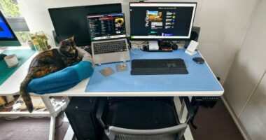 What’s on your desk, Dominic Preston?