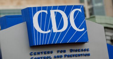 White House restores stalled CDC research funds
