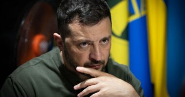 President Zelenskyy looks on pensively.