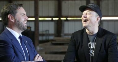 Why Can't We Be Friends? Vance Hopes Musk Returns to Trump Orbit