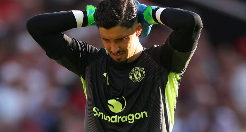 Why Manchester United absolutely MUST sign a new goalkeeper, writes NATHAN SALT - with uncapped Belgian joining high-profile duo on list of potential targets