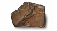 A large Mars rock initially found in Niger that sold for $8 million in July 2025