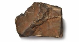 A large Mars rock initially found in Niger that sold for $8 million in July 2025