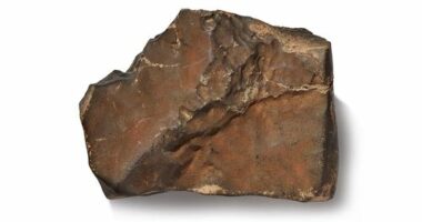 A large Mars rock initially found in Niger that sold for $8 million in July 2025