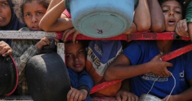 Why not enough food is reaching people in Gaza