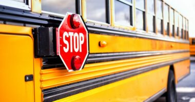 Why school buses are painted yellow