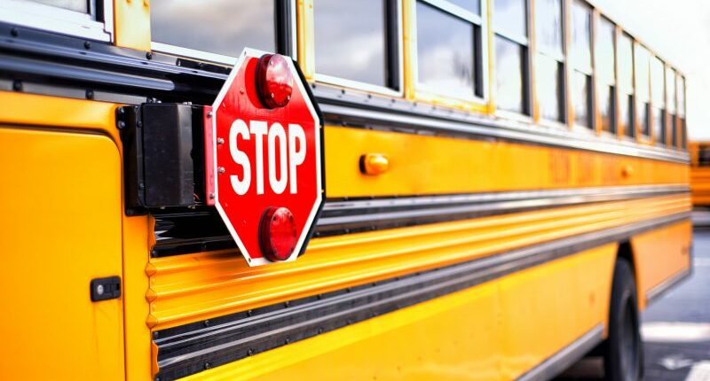 Why school buses are painted yellow