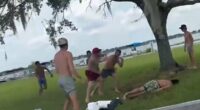 Wild brawl breaks out among shirtless brawlers at Florida lake