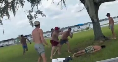 Wild brawl breaks out among shirtless brawlers at Florida lake